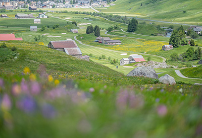 Mountain area in Switzerland with flowering meadows, huts, wide lawns and a panorama of green hills and nature.